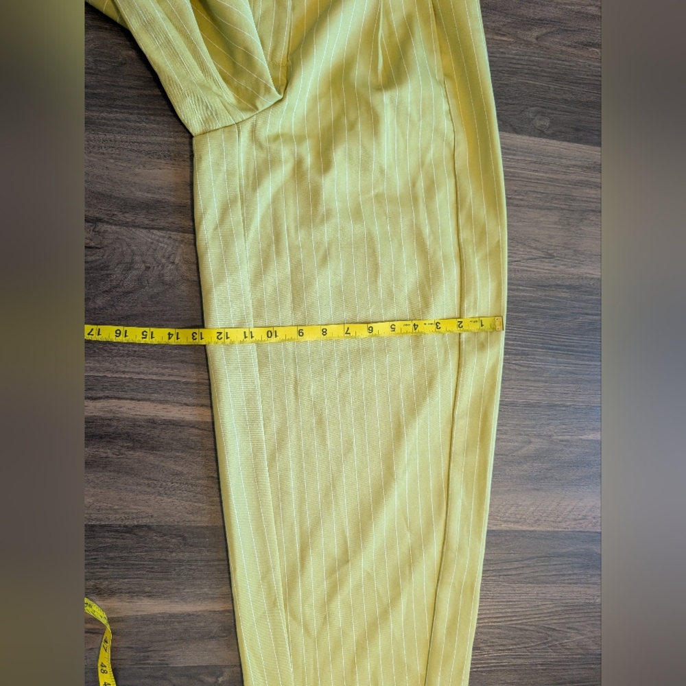 Arrange Striped Barrel Pants - Picture 11 of 12